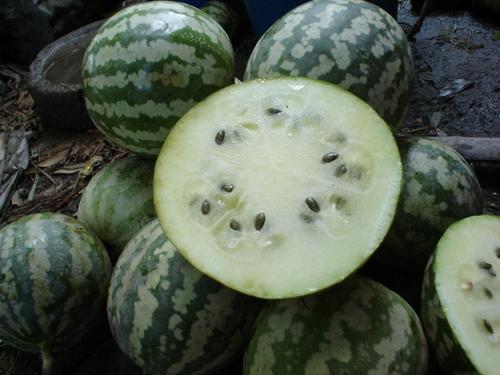 新鲜木头瓜怎样吃,新鲜木头瓜的多样食用方法探索