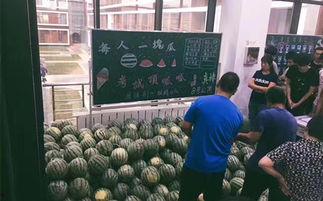 全体起立吃瓜视角,一场吃瓜盛宴的全民视角