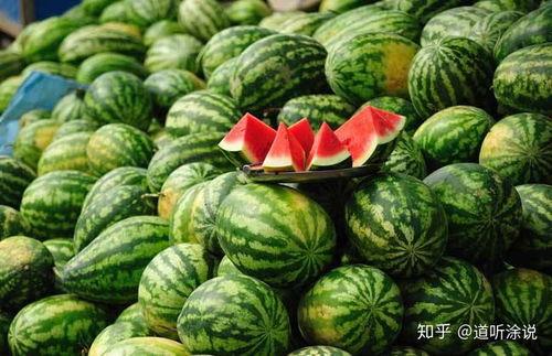 有人吃自己瓜,揭秘瓜农吃自己种瓜的惊人真相