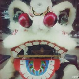 带你吃瓜之舞狮子,带你吃瓜之舞狮表演赏析