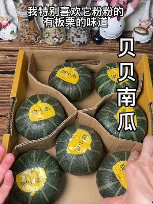 给宝宝吃贝贝瓜,贝贝瓜营养食谱分享