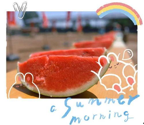 像极了现场吃瓜的,揭秘娱乐圈幕后真相