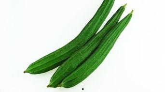 女人在河北吃瓜,瓜香四溢，品味生活新风尚