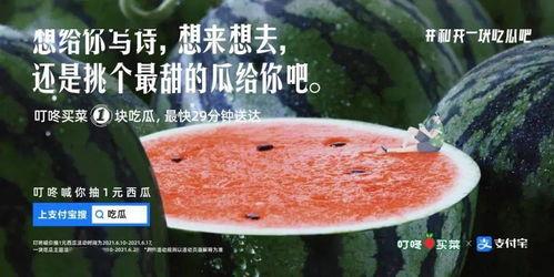 描写在乡村吃瓜的文案,瓜香四溢的悠闲时光