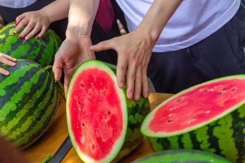 湖南大学吃瓜,吃瓜群众纷纷围观！