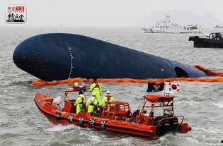 中国渔民万船吃瓜,中国渔民万船吃瓜盛况