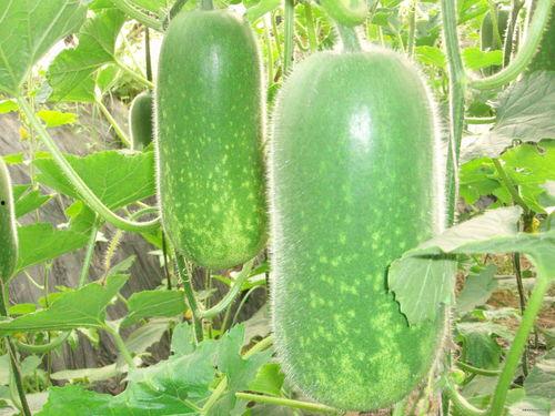 519吃瓜网,519吃瓜网带你领略明星幕后故事