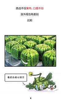 历史回顾51吃瓜,回顾网络热议事件背后的真相与反思