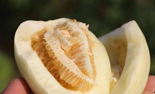 吃瓜好甜 理性吃瓜,揭秘网络舆论背后的真相