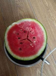 吃瓜都吃奔驰瓜,揭秘奔驰瓜的独特魅力