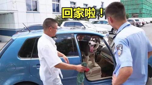 跳楼后进警局吃瓜,跳楼者意外成“吃瓜群众”