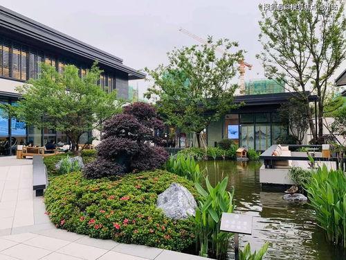 文哥吃瓜地点,探寻明星们的“吃瓜圣地”