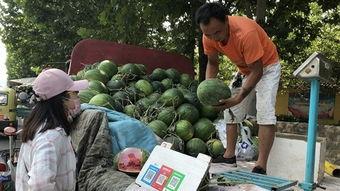济宁吃瓜露露,吃瓜露露的独特风味之旅