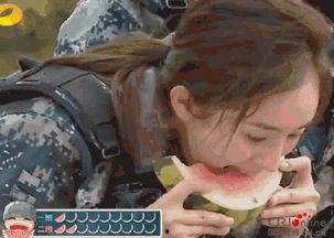 吃瓜秒变猴子,揭秘神奇生物的神奇转变