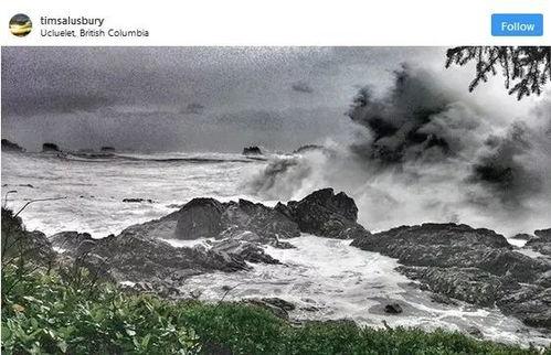 吃瓜大浪浪,揭秘娱乐圈幕后风云