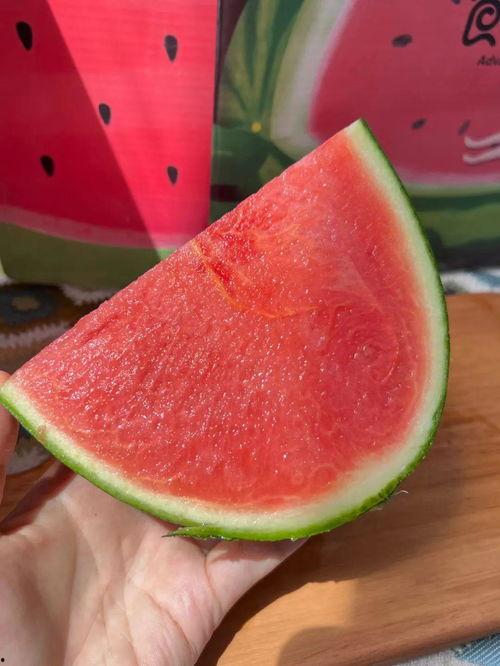 爱吃瓜的娃子吃瓜,揭秘“爱吃瓜的娃子”的瓜趣人生