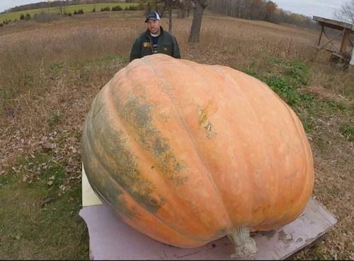 道具吃瓜到变形,从道具到奇幻旅程的奇幻之旅