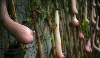 梦见吃乳瓜,乳瓜之梦的神秘启示