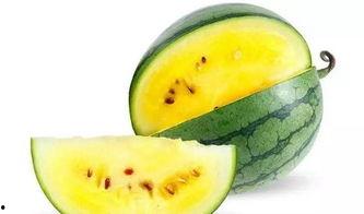 好瓜自己吃,好瓜自己吃的智慧人生