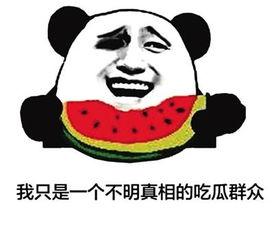 吃瓜群众组口号,揭秘娱乐圈幕后风云