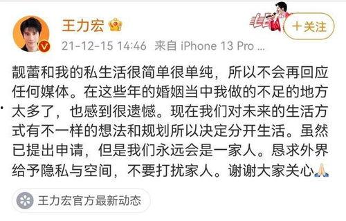 吃瓜专家歌词大全