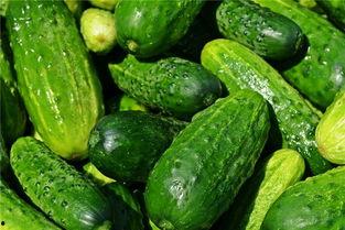 梦到吃银瓜,银瓜之谜的奇幻之旅