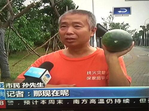 凉城吃瓜群众事件,一场网络舆论的风暴与反思