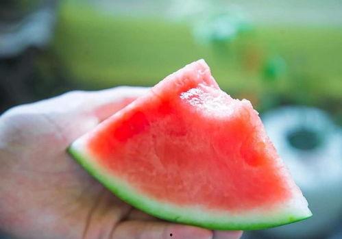 最开心的吃瓜视频,盘点最开心的吃瓜视频瞬间