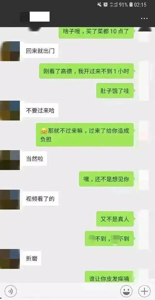 吃瓜诸葛亮晶晶聊天记录