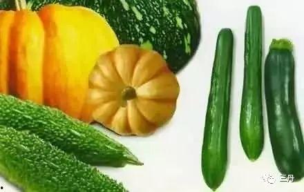 维秘圈破解吃瓜,一场吃瓜盛宴背后的真相与内幕