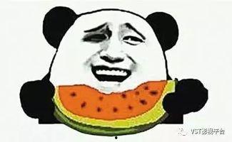 小胖吃瓜群众,揭秘娱乐圈幕后故事