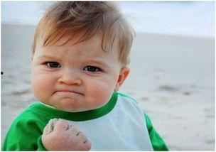 喜欢吃瓜不想当瓜啥意思,揭秘“喜欢吃瓜不想当瓜”的独特人生观