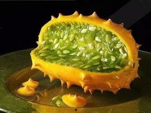 有人吃角瓜过敏,了解症状与预防措施