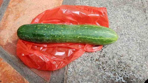 瓜可以吃吗,揭秘哪些瓜可以安全食用