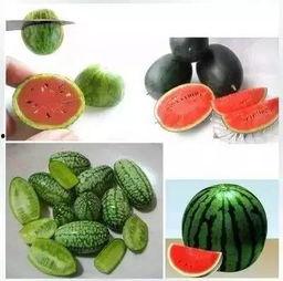 51吃瓜拇指,揭秘娱乐圈幕后故事