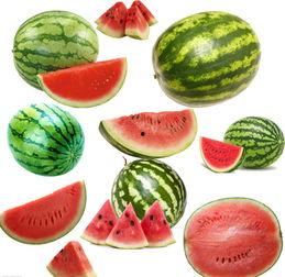 吃南人瓜,尽在南人瓜果盛宴