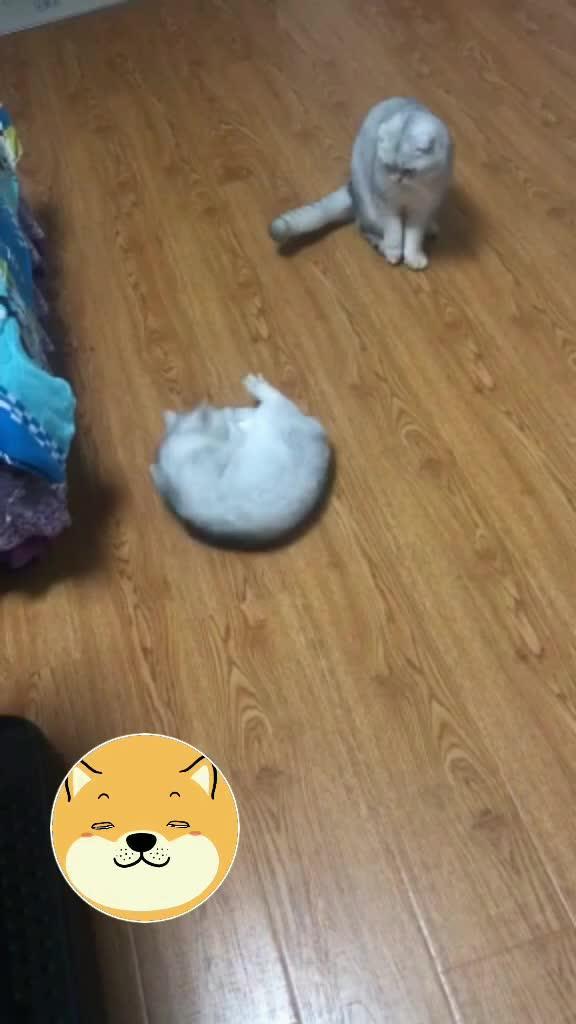 一个看戏的吃瓜群众图片