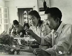 穿书七零我在知青院吃瓜,我在知青院品尝时代瓜果