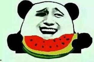 知梦吃瓜后续,揭秘娱乐圈背后的真相与反转