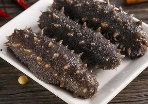 海参瓜怎么吃,探索美味与营养的完美结合