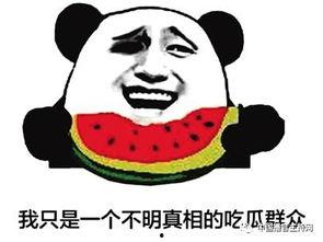 吃瓜中国传媒,揭秘娱乐圈背后的故事与真相