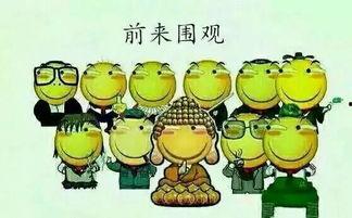 吃瓜和说话,揭秘网络言论背后的真相