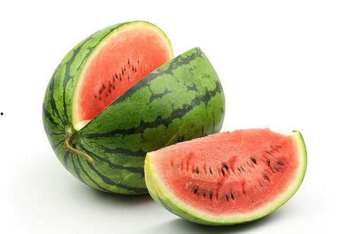 减肥可以吃蕃瓜吗