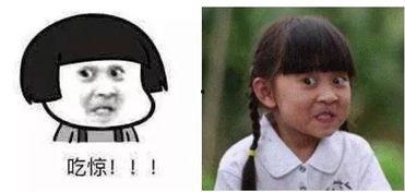 有瓜吃舔屏,有瓜吃，舔屏不止