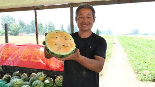 临邑吃瓜事件最新,一场网络热议背后的真相揭秘