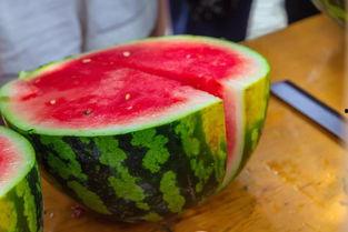 塔大五食堂吃瓜