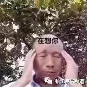 李老汉吃瓜表情,笑出人生百态